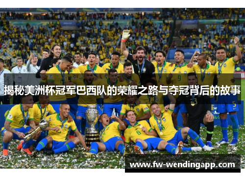 揭秘美洲杯冠军巴西队的荣耀之路与夺冠背后的故事