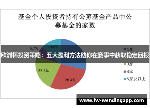 欧洲杯投资策略：五大盈利方法助你在赛事中获取稳定回报
