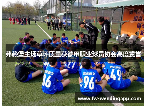 弗赖堡主场草坪质量获德甲职业球员协会高度赞誉