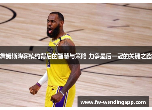 詹姆斯降薪续约背后的智慧与策略 力争最后一冠的关键之路