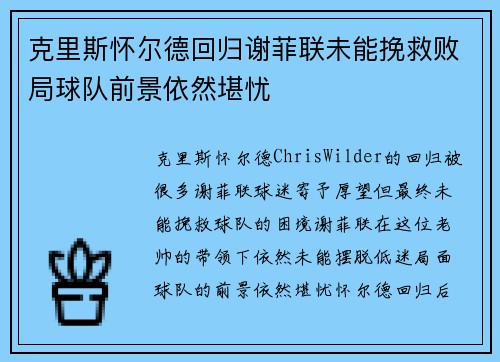 克里斯怀尔德回归谢菲联未能挽救败局球队前景依然堪忧