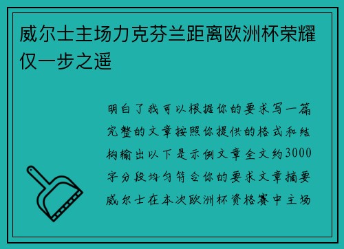 威尔士主场力克芬兰距离欧洲杯荣耀仅一步之遥
